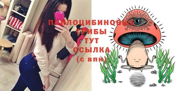 каннабис Ельня